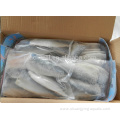 Frozen Mackerel Fish Fillet Size 70-150g 100-200g